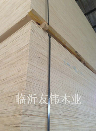 異形托盤(pán)板不可貌相，發(fā)展前景不可限量